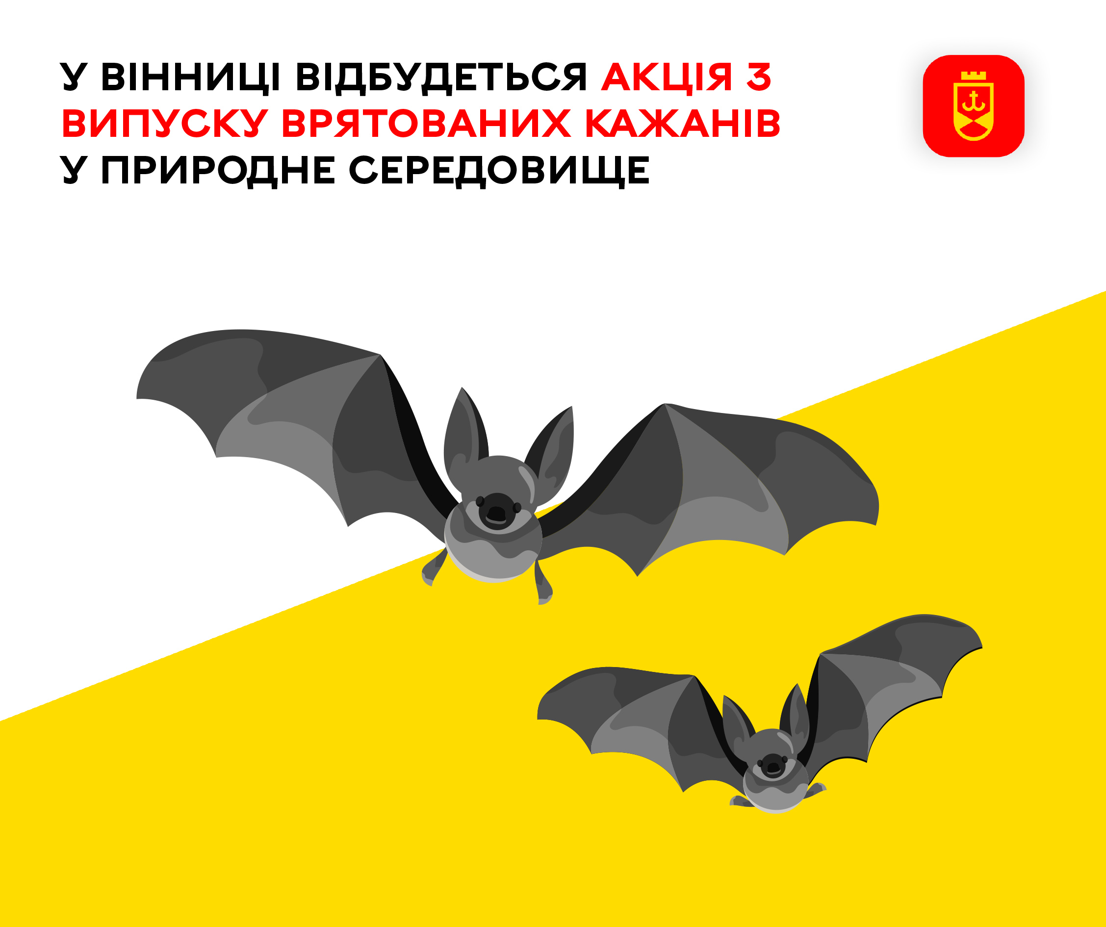 У Вінниці відбудеться акція з випуску врятованих кажанів у природне середовище